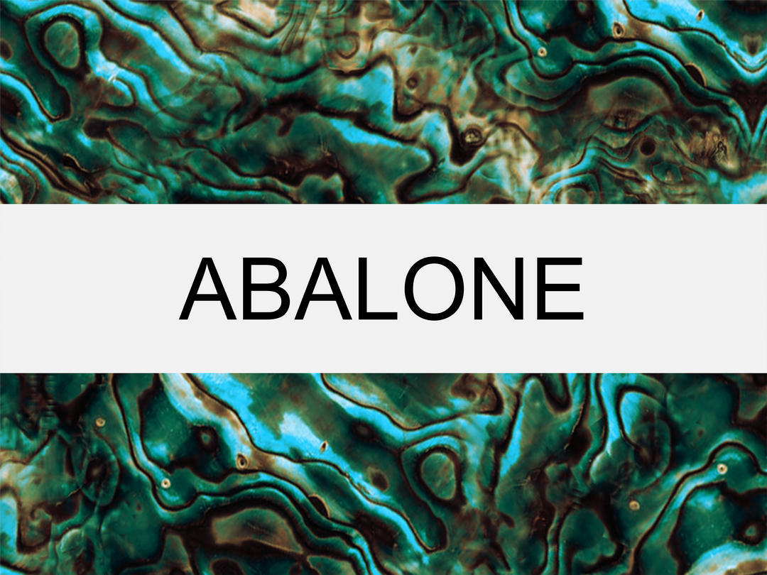 Abalone Collection