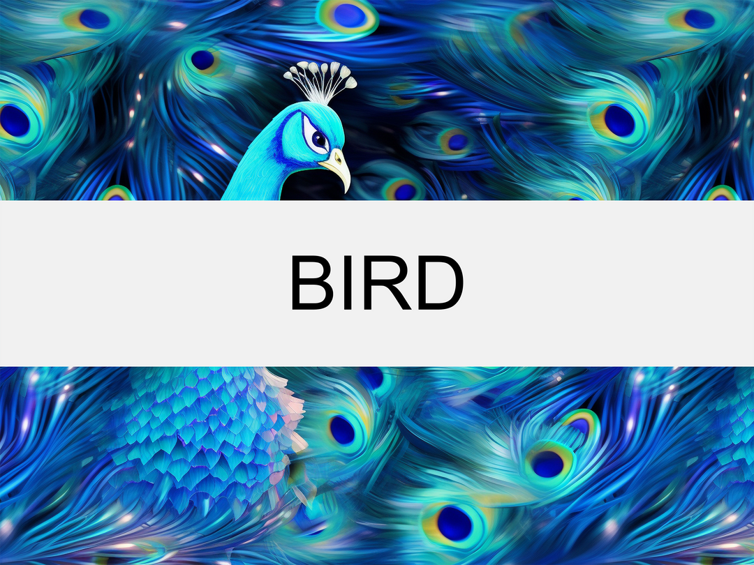 Bird Collection