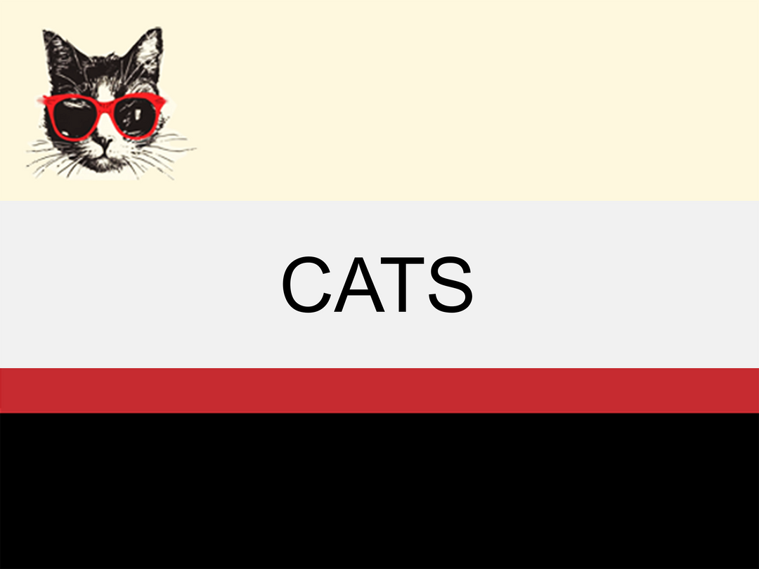 Cat Collection