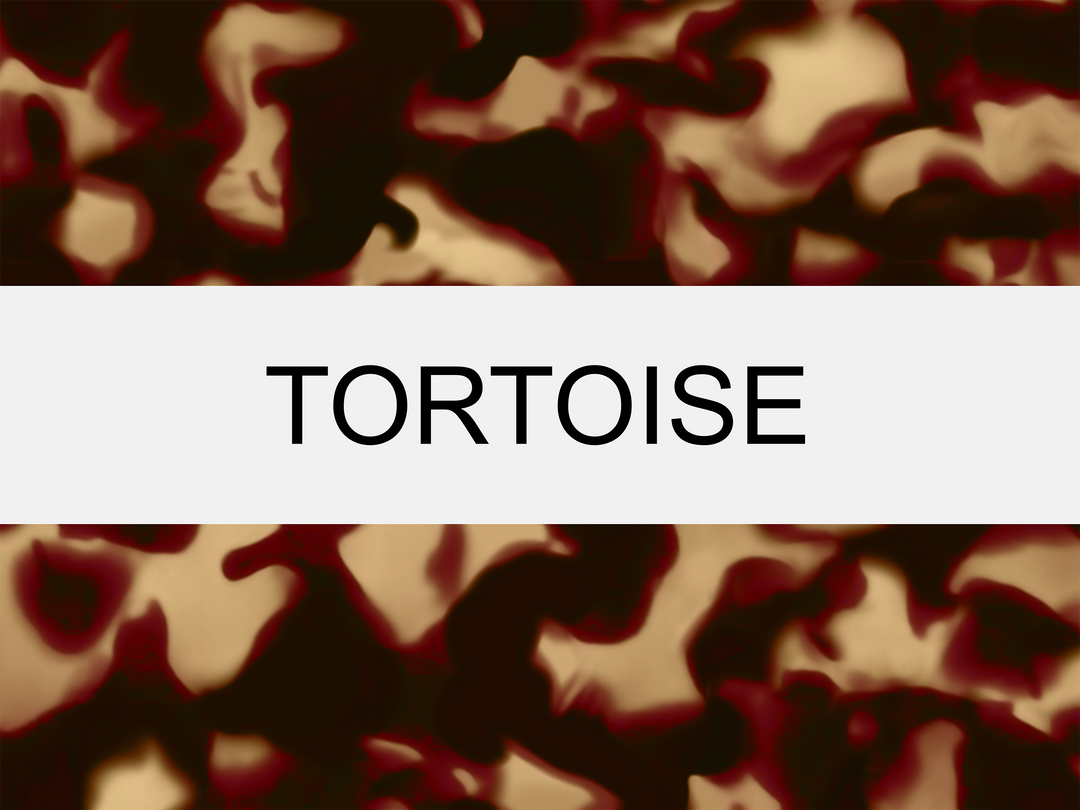 Tortoise
